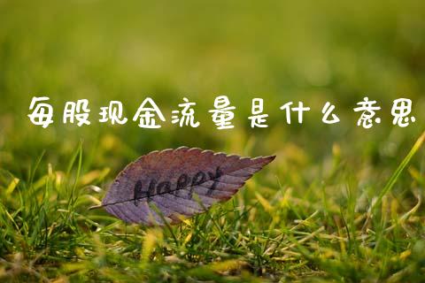 每股现金流量是什么意思_https://www.fcdydaikuan.com_恒指期货直播_第1张
