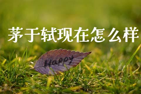 茅于轼现在怎么样_https://www.fcdydaikuan.com_德指期货直播_第1张