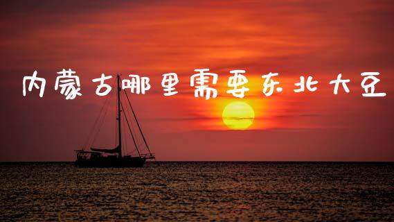 内蒙古哪里需要东北大豆_https://www.fcdydaikuan.com_恒指期货直播_第1张
