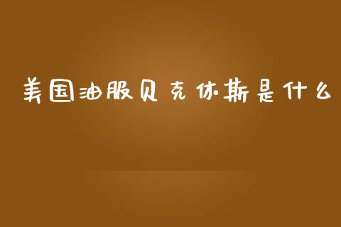 美国油服贝克休斯是什么_https://www.fcdydaikuan.com_恒指期货直播_第1张