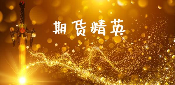 期货精英_https://www.fcdydaikuan.com_德指期货直播_第1张
