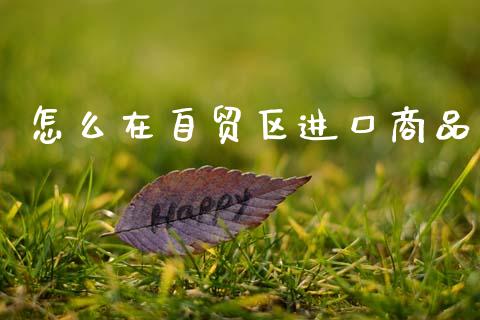怎么在自贸区进口商品_https://www.fcdydaikuan.com_黄金期货直播_第1张