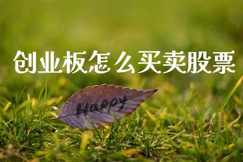 创业板怎么买卖股票_https://www.fcdydaikuan.com_黄金期货直播_第1张