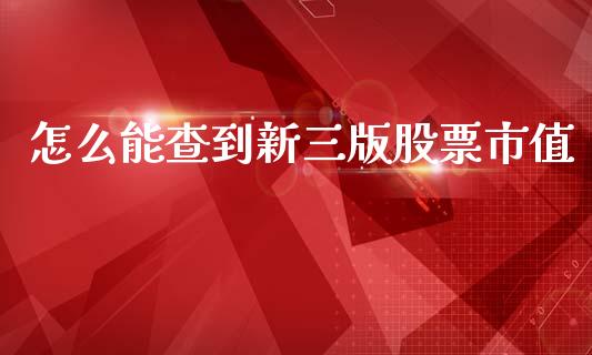 怎么能查到新三版股票市值_https://www.fcdydaikuan.com_恒生指数直播室_第1张