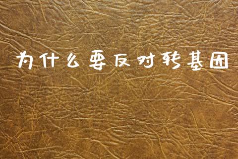 为什么要反对转基因_https://www.fcdydaikuan.com_恒生指数直播室_第1张