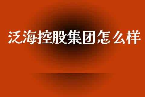 泛海控股集团怎么样_https://www.fcdydaikuan.com_黄金期货直播_第1张