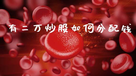 有二万炒股如何分配钱_https://www.fcdydaikuan.com_黄金期货直播_第1张