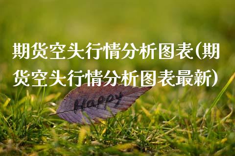 期货空头行情分析图表(期货空头行情分析图表最新)_https://www.fcdydaikuan.com_德指期货直播_第1张