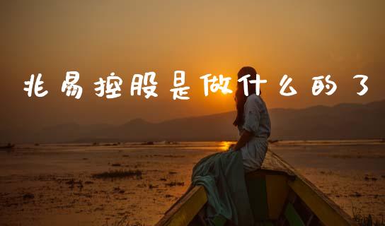 兆易控股是做什么的了_https://www.fcdydaikuan.com_黄金期货直播_第1张
