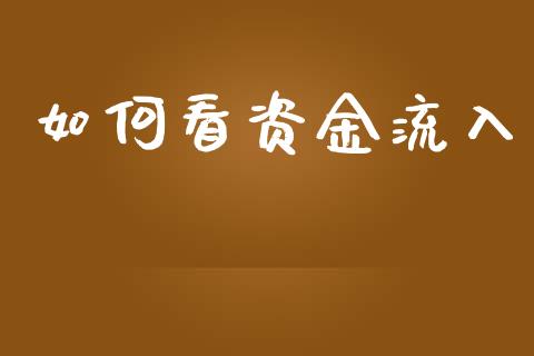 如何看资金流入_https://www.fcdydaikuan.com_德指期货直播_第1张