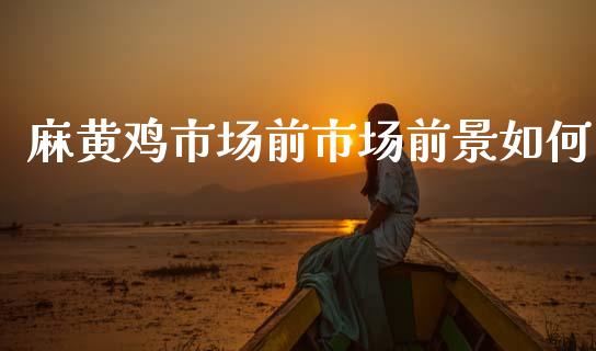 麻黄鸡市场前市场前景如何_https://www.fcdydaikuan.com_恒生指数直播室_第1张
