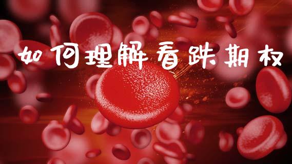 如何理解看跌期权_https://www.fcdydaikuan.com_恒生指数直播室_第1张