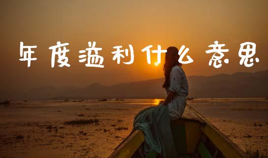 年度溢利什么意思_https://www.fcdydaikuan.com_恒指期货直播_第1张