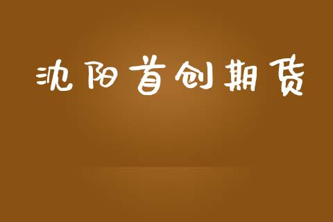 沈阳首创期货_https://www.fcdydaikuan.com_黄金期货直播_第1张