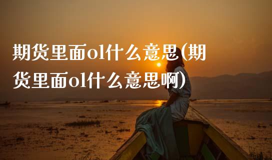期货里面ol什么意思(期货里面ol什么意思啊)_https://www.fcdydaikuan.com_黄金期货直播_第1张