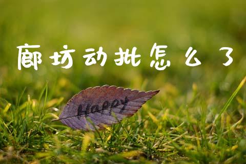 廊坊动批怎么了_https://www.fcdydaikuan.com_黄金期货直播_第1张