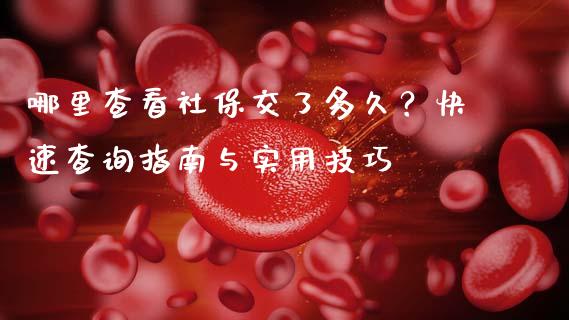 哪里查看社保交了多久？快速查询指南与实用技巧_https://www.fcdydaikuan.com_恒生指数直播室_第1张