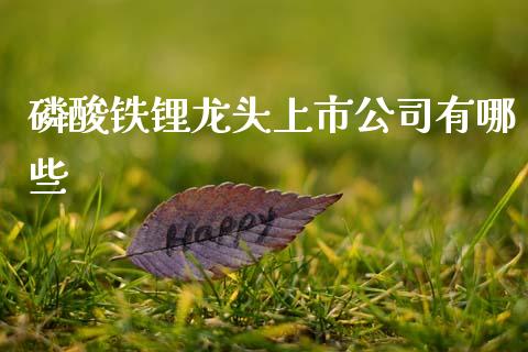 磷酸铁锂龙头上市公司有哪些_https://www.fcdydaikuan.com_恒生指数直播室_第1张