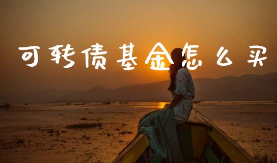 可转债基金怎么买_https://www.fcdydaikuan.com_德指期货直播_第1张