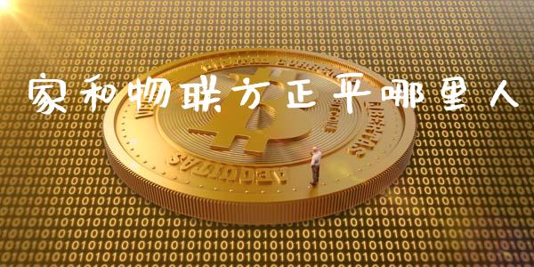 家和物联方正平哪里人_https://www.fcdydaikuan.com_黄金期货直播_第1张