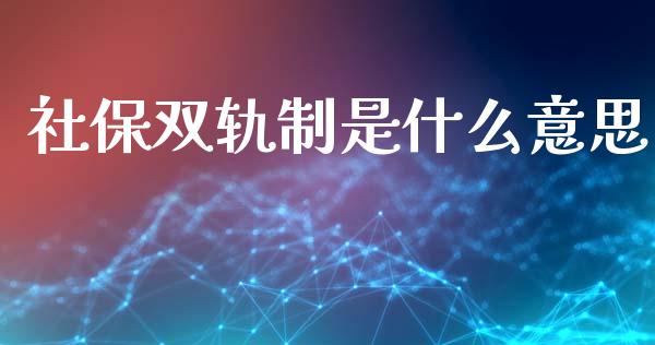 社保双轨制是什么意思_https://www.fcdydaikuan.com_德指期货直播_第1张
