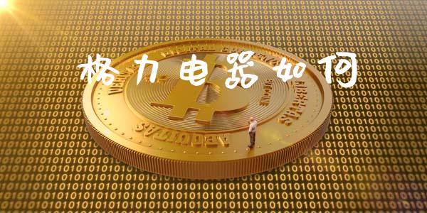 格力电器如何_https://www.fcdydaikuan.com_黄金期货直播_第1张