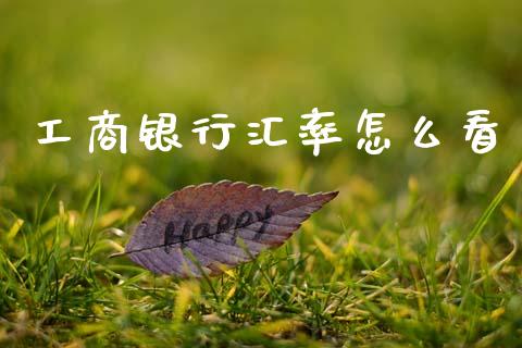 工商银行汇率怎么看_https://www.fcdydaikuan.com_德指期货直播_第1张