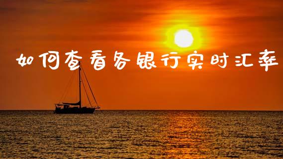 如何查看各银行实时汇率_https://www.fcdydaikuan.com_德指期货直播_第1张