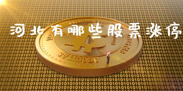 河北有哪些股票涨停_https://www.fcdydaikuan.com_德指期货直播_第1张