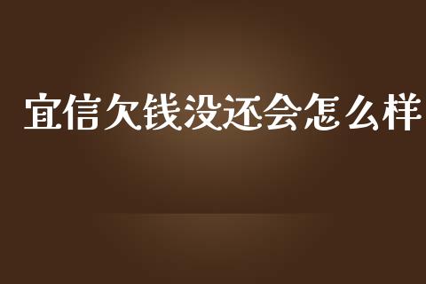宜信欠钱没还会怎么样_https://www.fcdydaikuan.com_德指期货直播_第1张