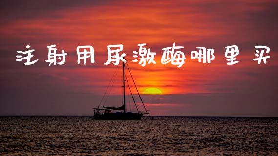 注射用尿激酶哪里买_https://www.fcdydaikuan.com_德指期货直播_第1张
