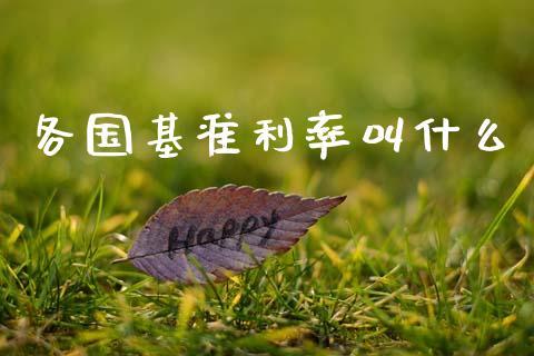 各国基准利率叫什么_https://www.fcdydaikuan.com_德指期货直播_第1张