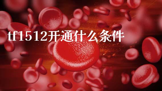 tf1512开通什么条件_https://www.fcdydaikuan.com_恒生指数直播室_第1张