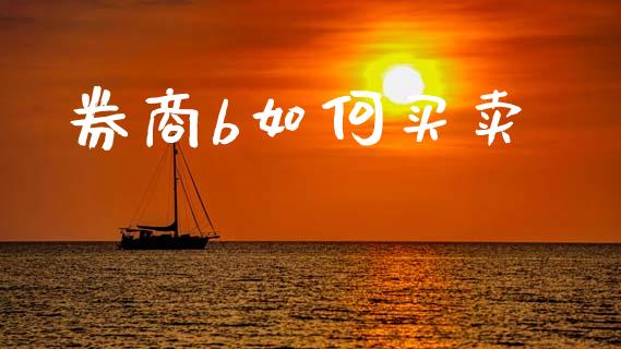 券商b如何买卖_https://www.fcdydaikuan.com_德指期货直播_第1张