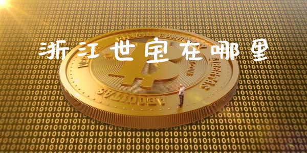 浙江世宝在哪里_https://www.fcdydaikuan.com_德指期货直播_第1张