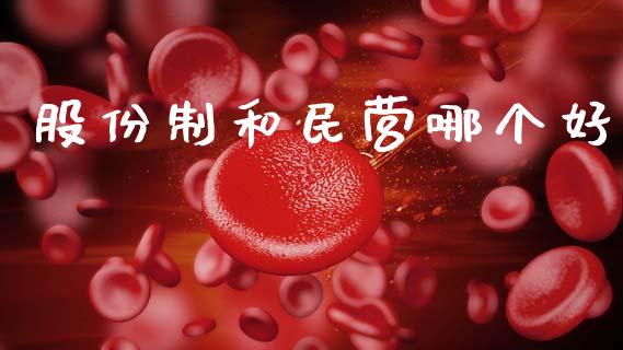 股份制和民营哪个好_https://www.fcdydaikuan.com_恒指期货直播_第1张