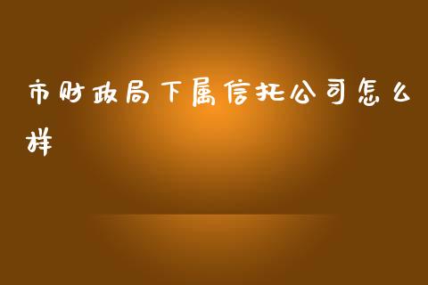 市财政局下属信托公司怎么样_https://www.fcdydaikuan.com_德指期货直播_第1张