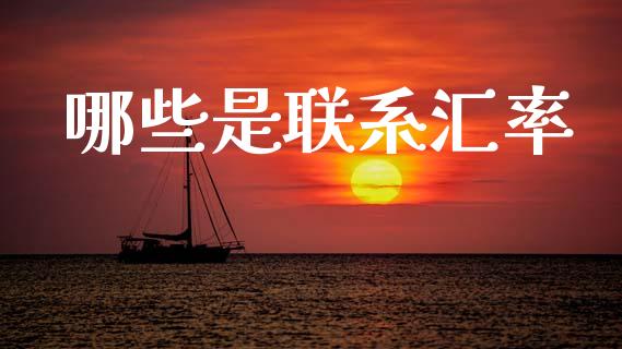 哪些是联系汇率_https://www.fcdydaikuan.com_恒生指数直播室_第1张