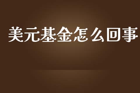 美元基金怎么回事_https://www.fcdydaikuan.com_恒生指数直播室_第1张