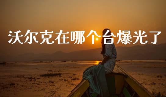沃尔克在哪个台爆光了_https://www.fcdydaikuan.com_恒生指数直播室_第1张
