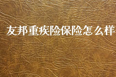 友邦重疾险保险怎么样_https://www.fcdydaikuan.com_恒指期货直播_第1张