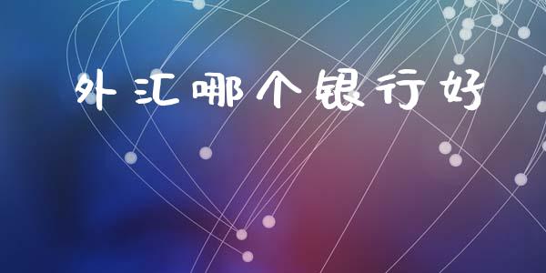 外汇哪个银行好_https://www.fcdydaikuan.com_德指期货直播_第1张