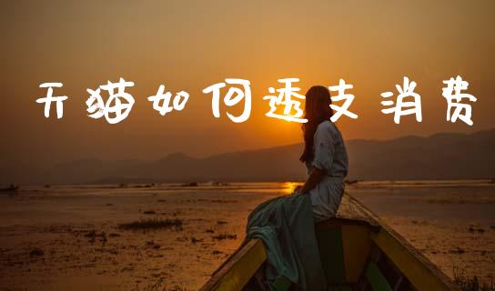 天猫如何透支消费_https://www.fcdydaikuan.com_恒生指数直播室_第1张