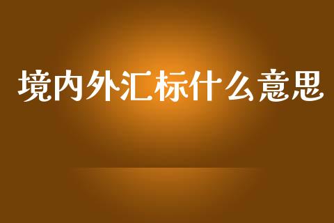 境内外汇标什么意思_https://www.fcdydaikuan.com_恒指期货直播_第1张