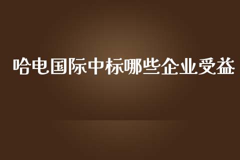 哈电国际中标哪些企业受益_https://www.fcdydaikuan.com_恒生指数直播室_第1张