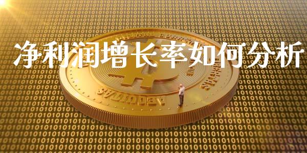 净利润增长率如何分析_https://www.fcdydaikuan.com_恒指期货直播_第1张