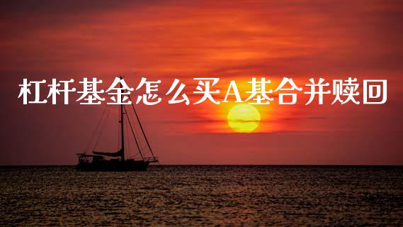 杠杆基金怎么买A基合并赎回_https://www.fcdydaikuan.com_德指期货直播_第1张