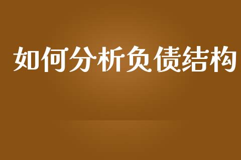 如何分析负债结构_https://www.fcdydaikuan.com_德指期货直播_第1张