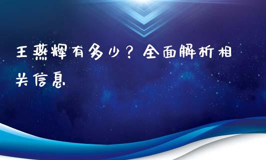 王燕辉有多少？全面解析相关信息_https://www.fcdydaikuan.com_恒生指数直播室_第1张