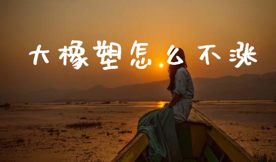 大橡塑怎么不涨_https://www.fcdydaikuan.com_恒生指数直播室_第1张